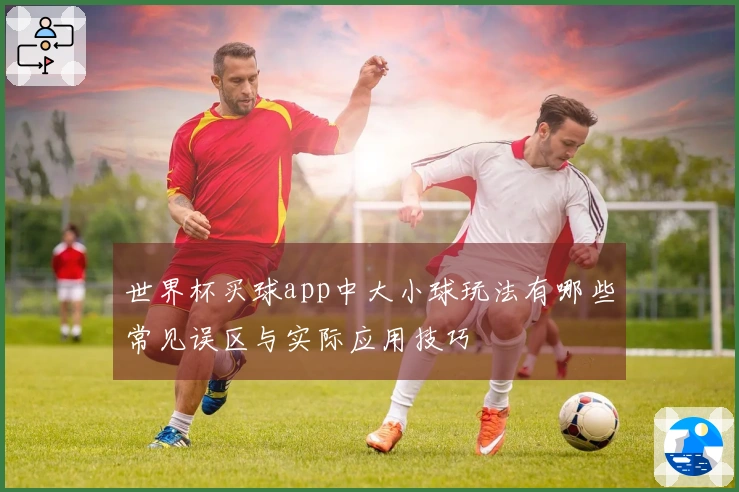 世界杯买球app中大小球玩法有哪些常见误区与实际应用技巧