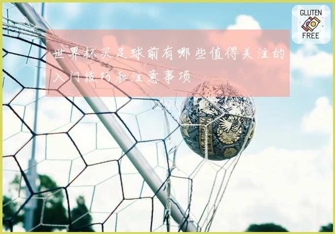 世界杯买足球前有哪些值得关注的入门技巧和注意事项