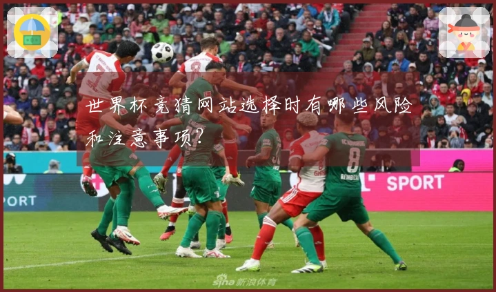 世界杯竞猜网站选择时有哪些风险和注意事项？