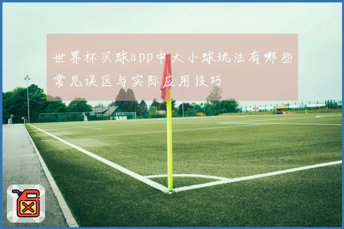 世界杯买球app中大小球玩法有哪些常见误区与实际应用技巧